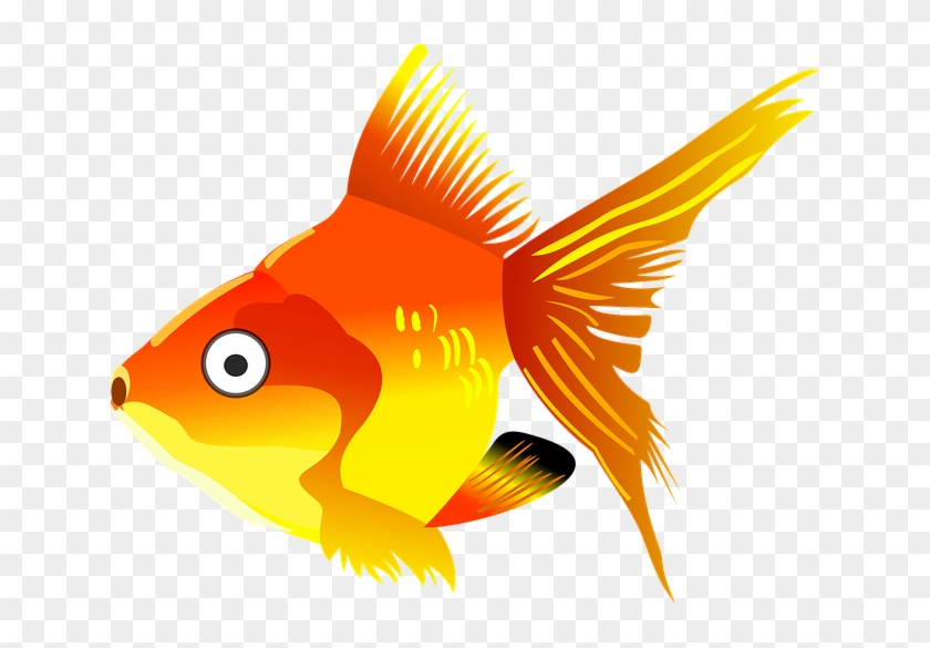 Goldfish Clipart Kartun - Gold Fish Cartoon Png #414637