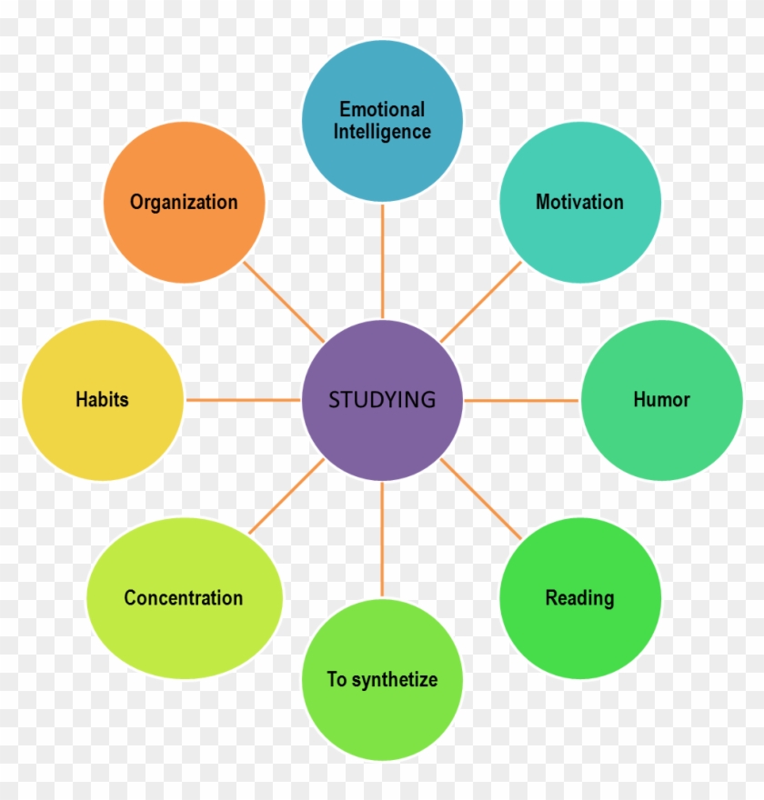 Spider Concept Map 2 Elsyone - Sources Of Impurities In Pharmaceutical Substances #414831