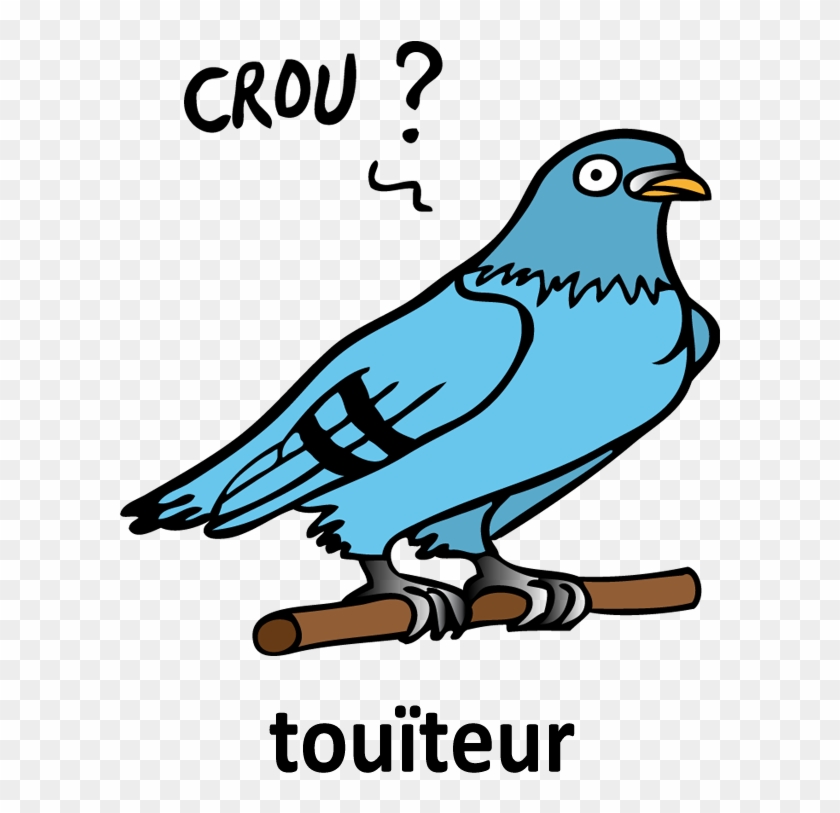 Retrouvez-moi Sur - Mountain Bluebird #415101