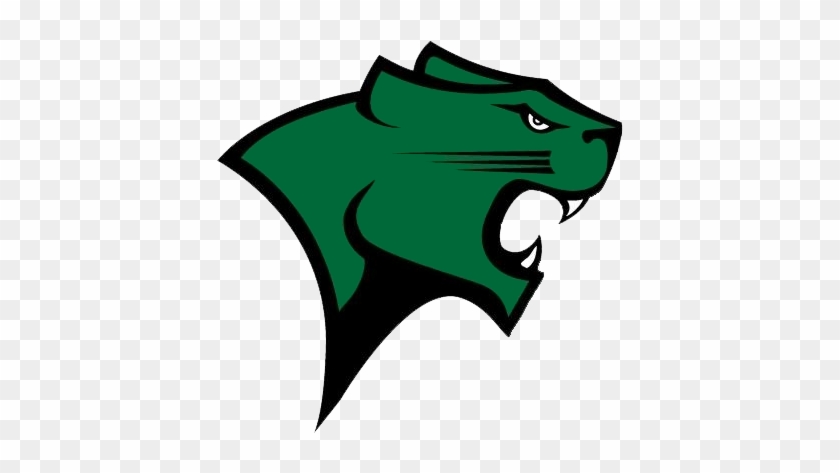 Chicago St Womens Volleyball Data - Chicago State University Cougars #415372