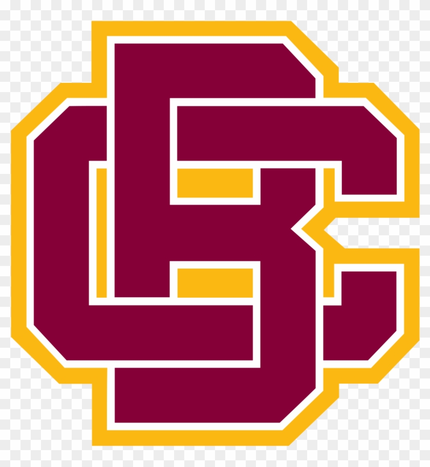 Bethune Cookman Wildcats Logo #415433