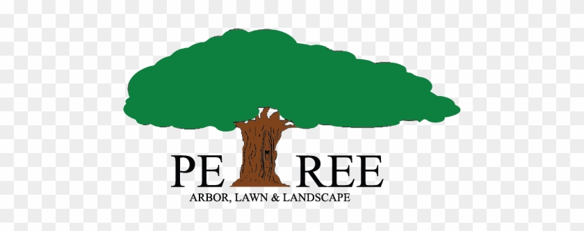 Petree Arbor - Petree Arbor Lawn & Landscape, Llc #415671