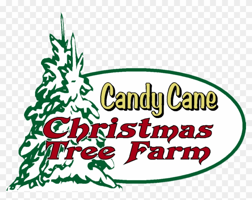 Candy Cane Christmas Tree Farm Logo - Dying A Natural Death Is For Pussies Mug #415697