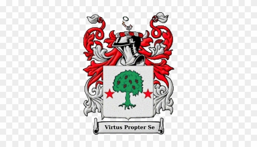 Looby Family - Sloan Coat Of Arms #415707