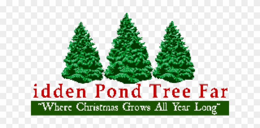 Hidden Pond Tree Farm - Pine Tree #415719