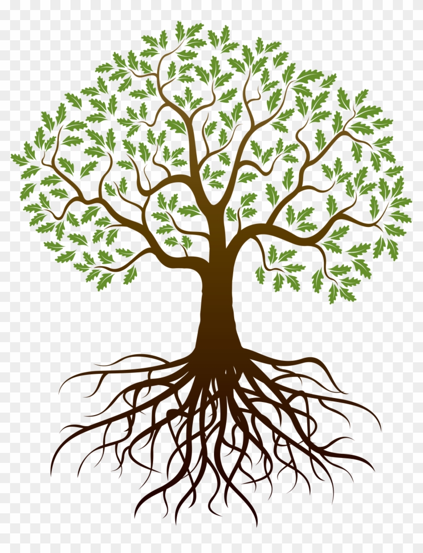 Barnes Family Reunion - Tree Clipart With Roots #415797