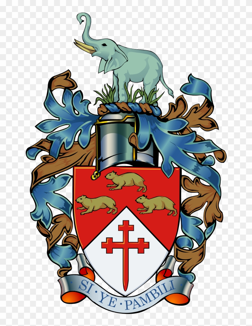 Currentthe Coat Of Arms Of Bulawayo - Bulawayo City Council #415888