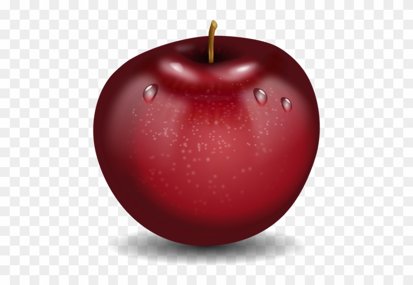 Vector Drawing Of Photorealistic Red Wet Apple - Acid Alkaline Diet Journal #416131