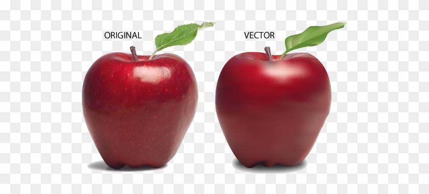 Adobe Illustrator Vector Apple - Advantages Of Raw Food #416132