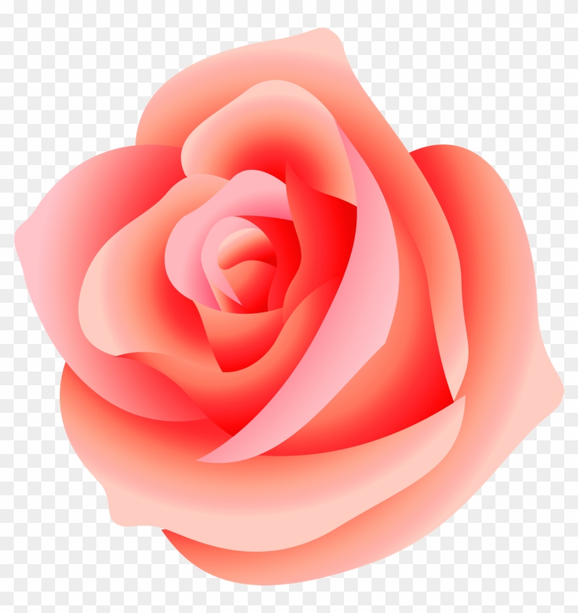 Large Rose Png Picture - Pink Rose Transparent Background #416164