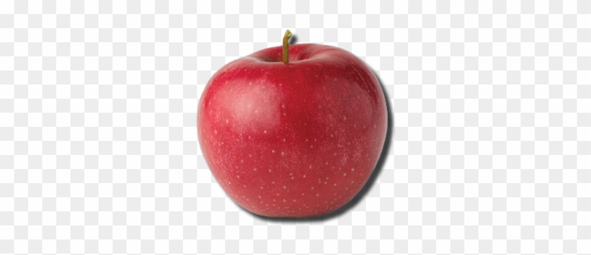 Red Apple Png For Kids - Apple #416201
