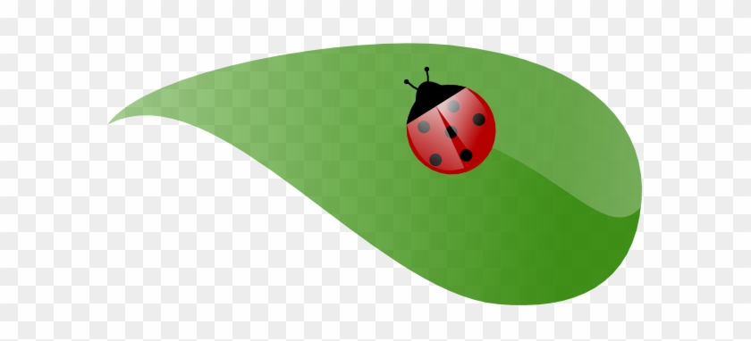 Ladybug On A Leaf Drawing - Cute Personalised Ladybug On White Tote Bag #416233