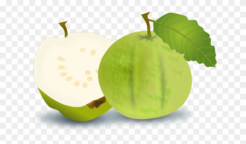 Guava Clip Art At Clker - Guava Clipart Png #416245