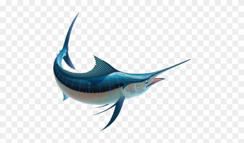 Blue Marlin Fish #416418