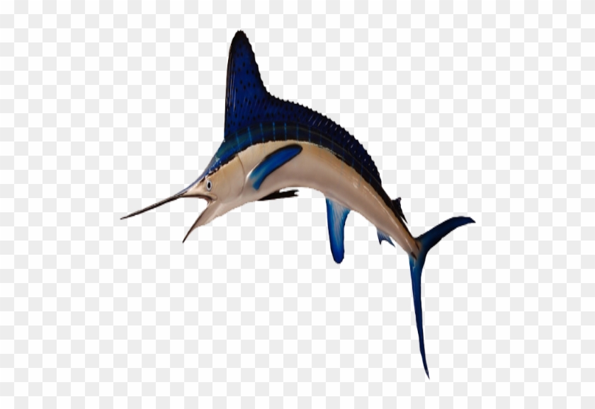 Bluefish2 - Striped Marlin #416452