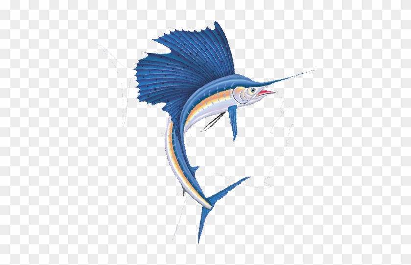 Sailfish 3 - Sailfish Png #416479