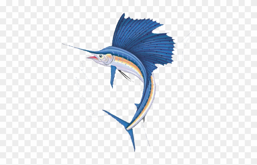 Sailfish 3 L - Sailfish Png #416487