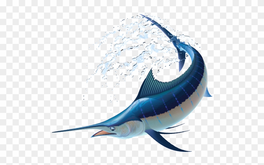 ソードフィッシュ - Atlantic Blue Marlin #416546