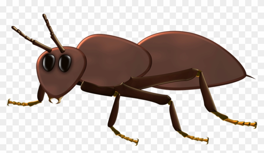 Cute Cartoon Ant - Insect - Free Transparent PNG Clipart Images Download