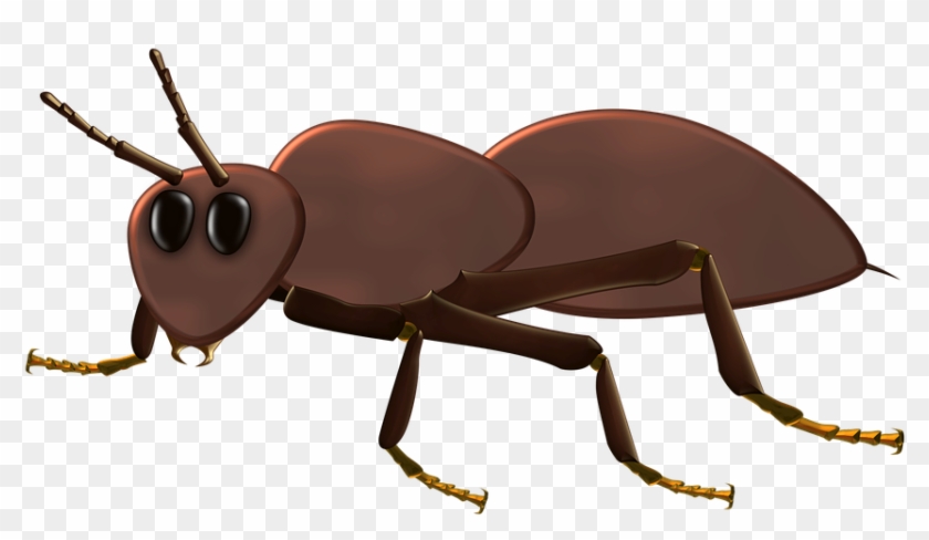 Cute Cartoon Ant - Insect #417132