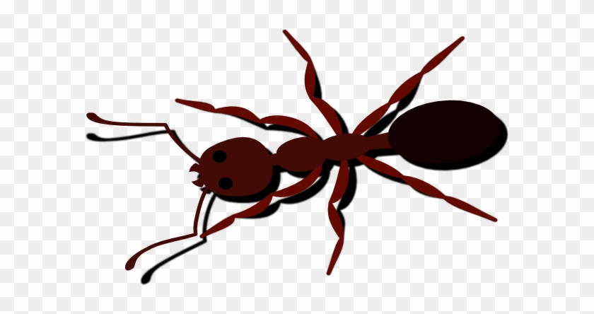 Ant Clip Art #417158