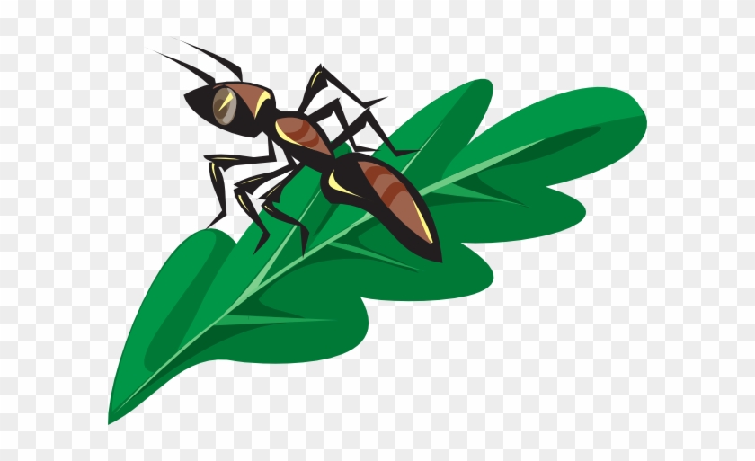 Ant Clipart Brown - Ant On The Leaf #417163