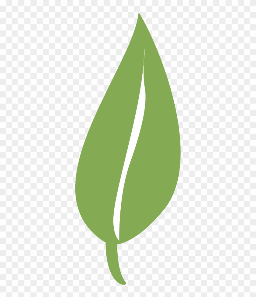 single green leaves clipart