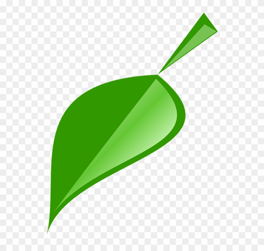 Picture Leaf - Single Neem Leaf Logo #417185