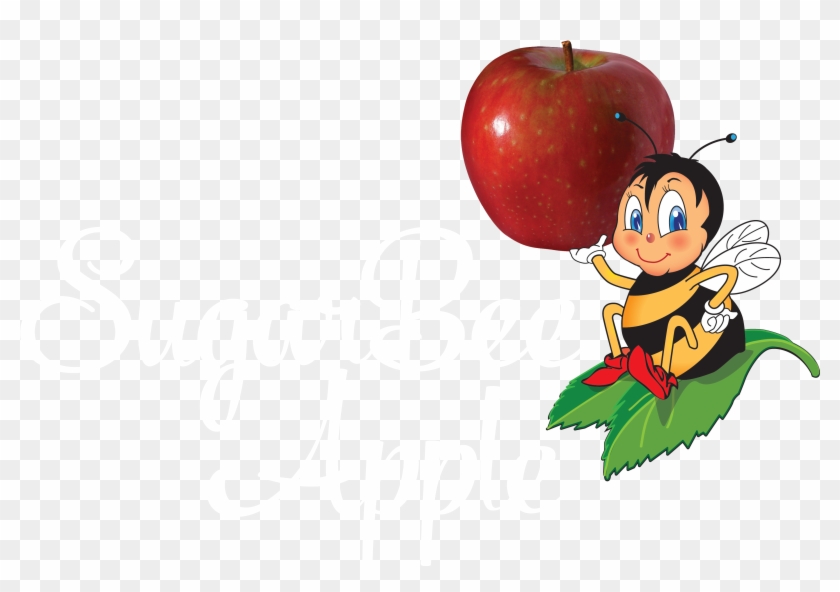 Image - Sugar Bee Apples #417232