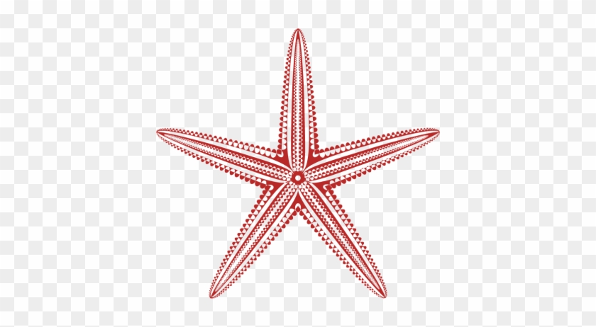 Pink Starfish Icon Clipart - Starfish #417350