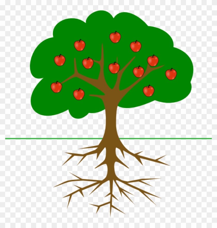 Apple Tree Clipart Apple Tree With Roots Clip Art At - Tree Clip Art #417443