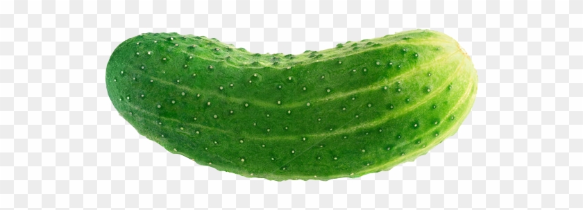 Cucumber Transparent - Cucumber Clipart Png #417552