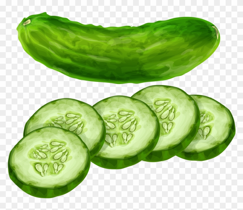 Vegetables Clipart Cucumber - Clipart Image Of Cucumber #417557