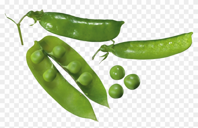 Pea Png - Pea #417566