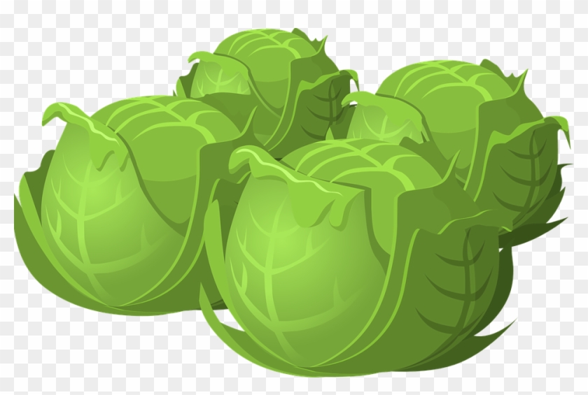 Cartoon Cabbage Food Png - Cabbage Cartoon Png #417569