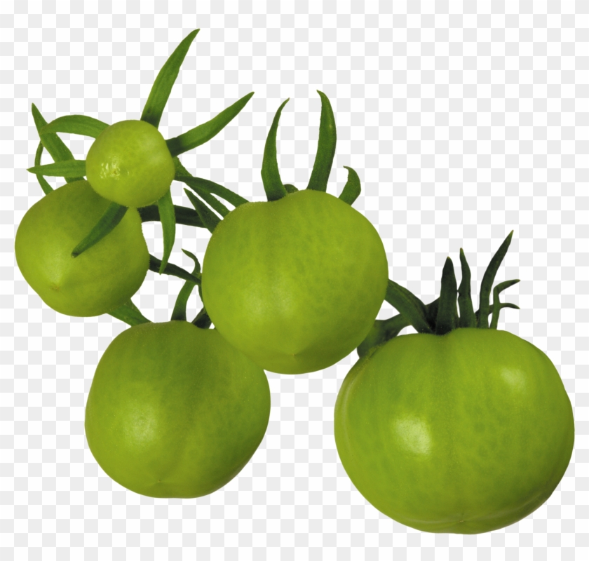 Tomato Png - Green Tomatoes Clipart Free #417571