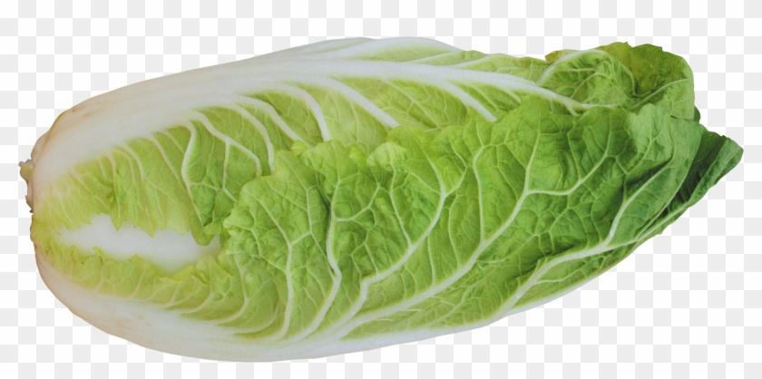 Salad Png Image - Lettuce Transparent Background #417576
