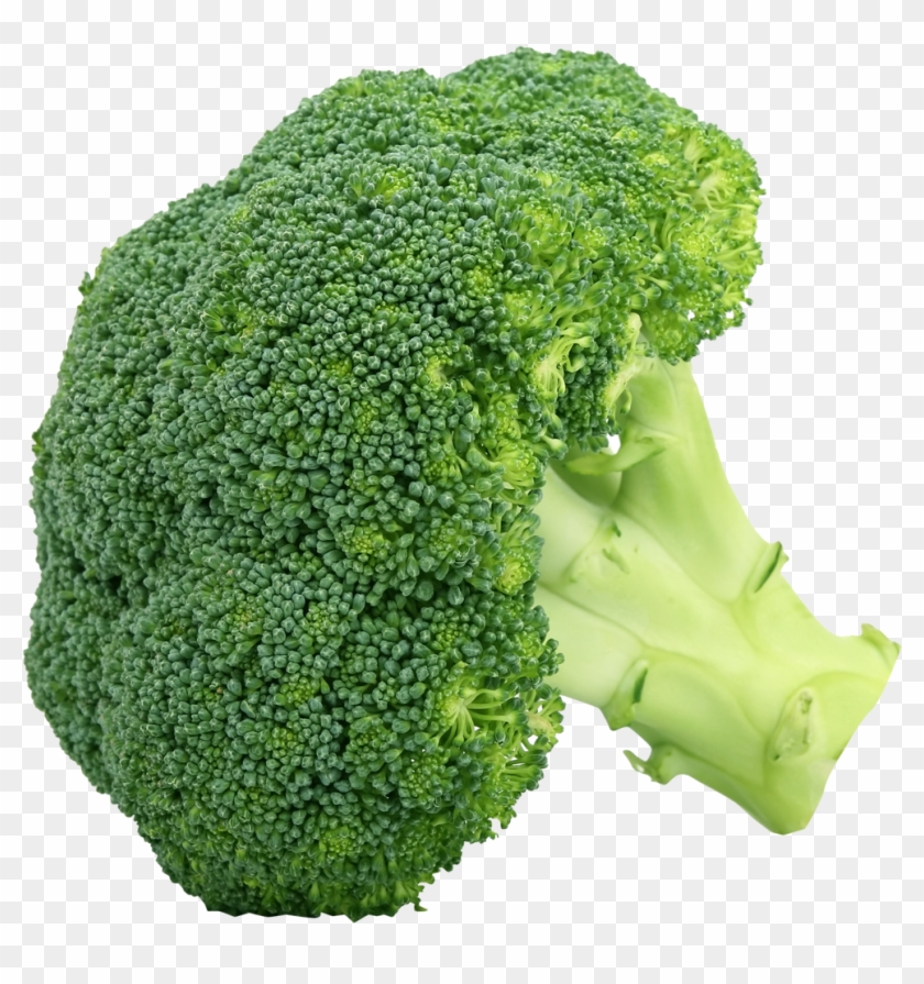 Broccoli Png Clipart - Broccoli Png #417609