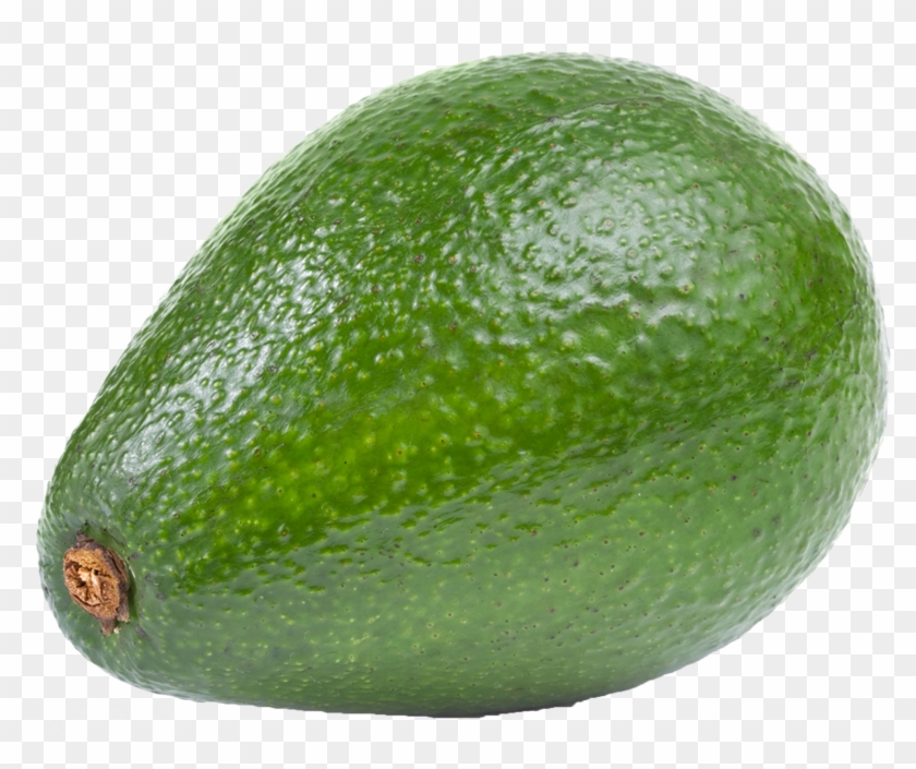 Large Avocado Png Clipart - Avocado Png #417610