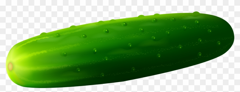Cucumber Png Clipart - Cucumber Png #417615