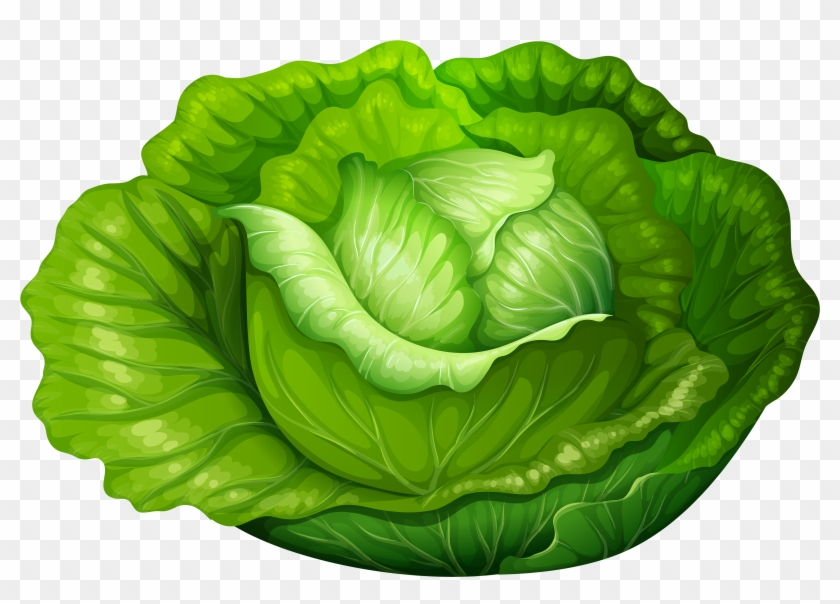 Cabbage Png Clip Art - Vegetable Clip Art Lettuce #417648