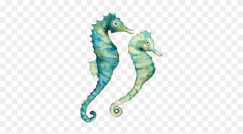 Playa - Watercolor Seahorse #417656