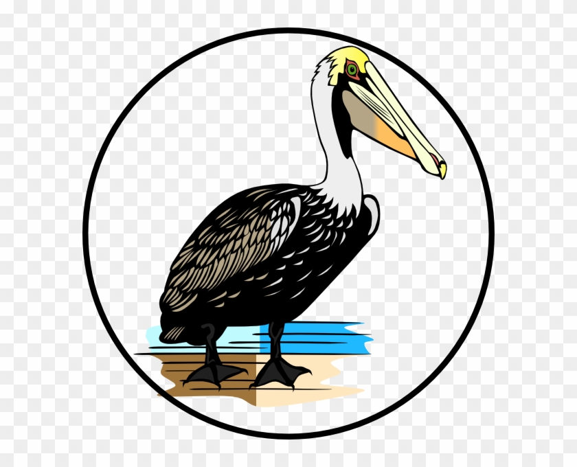 Custom Pelican Shower Curtain #417669