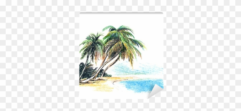 Fotomural Dibujo Playa Con Palmeras - Palm Tree And Beach Drawing #417672