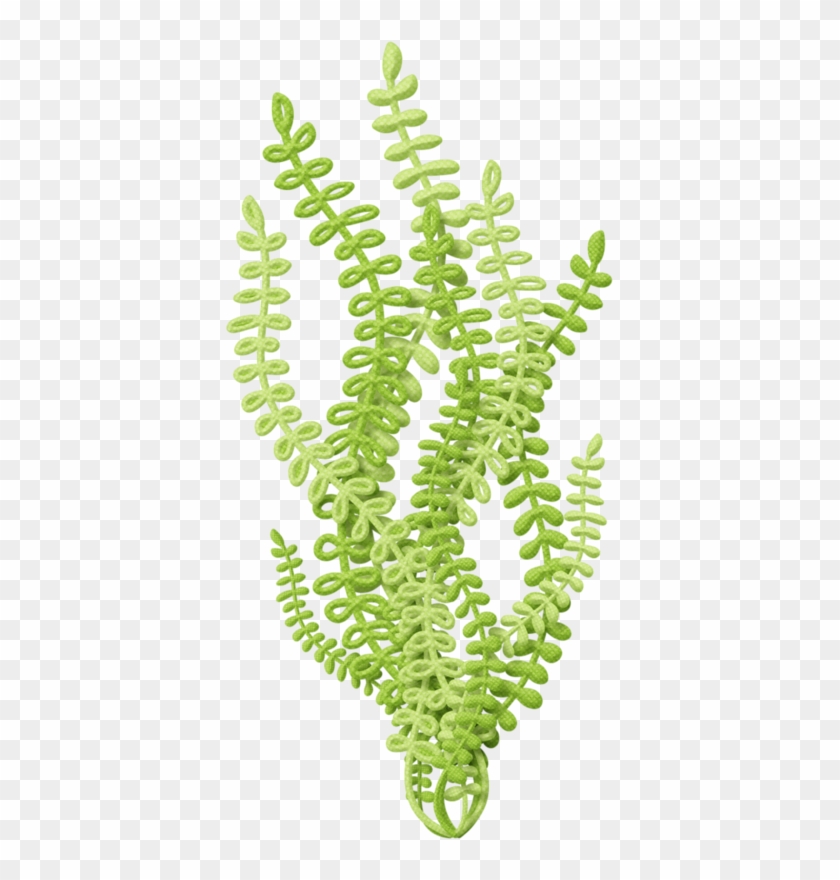 Bebe - Cartoon Sea Plant Png #417680