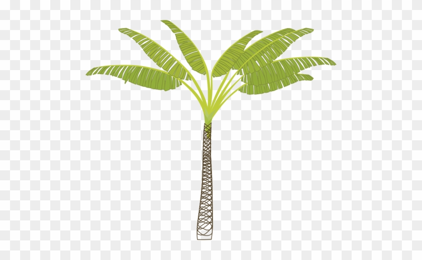 Vector Image Of Tropical Palm Tree - Palm Tree Clip Art #417688