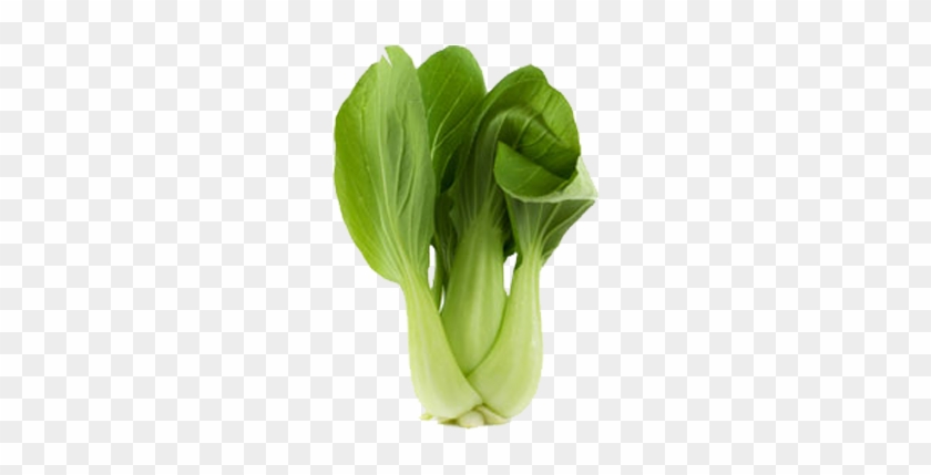 Bok Choy Png Clipart - Pok Choy #417717