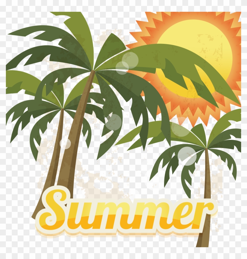 Summer Photography Euclidean Vector Illustration - Summer Photography Euclidean Vector Illustration #417813