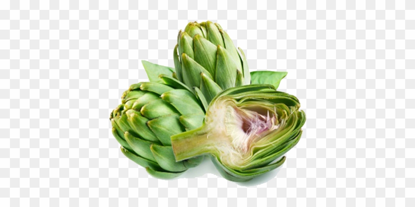 Artichokes Transparent Background - Artichoke Transparent Background #417739