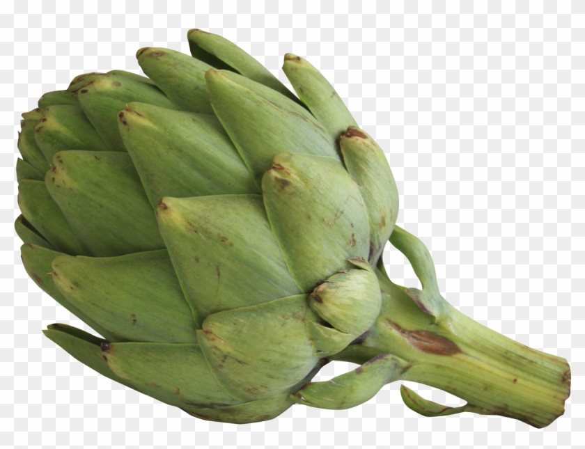 Artichoke - Artichoke Transparent #417754